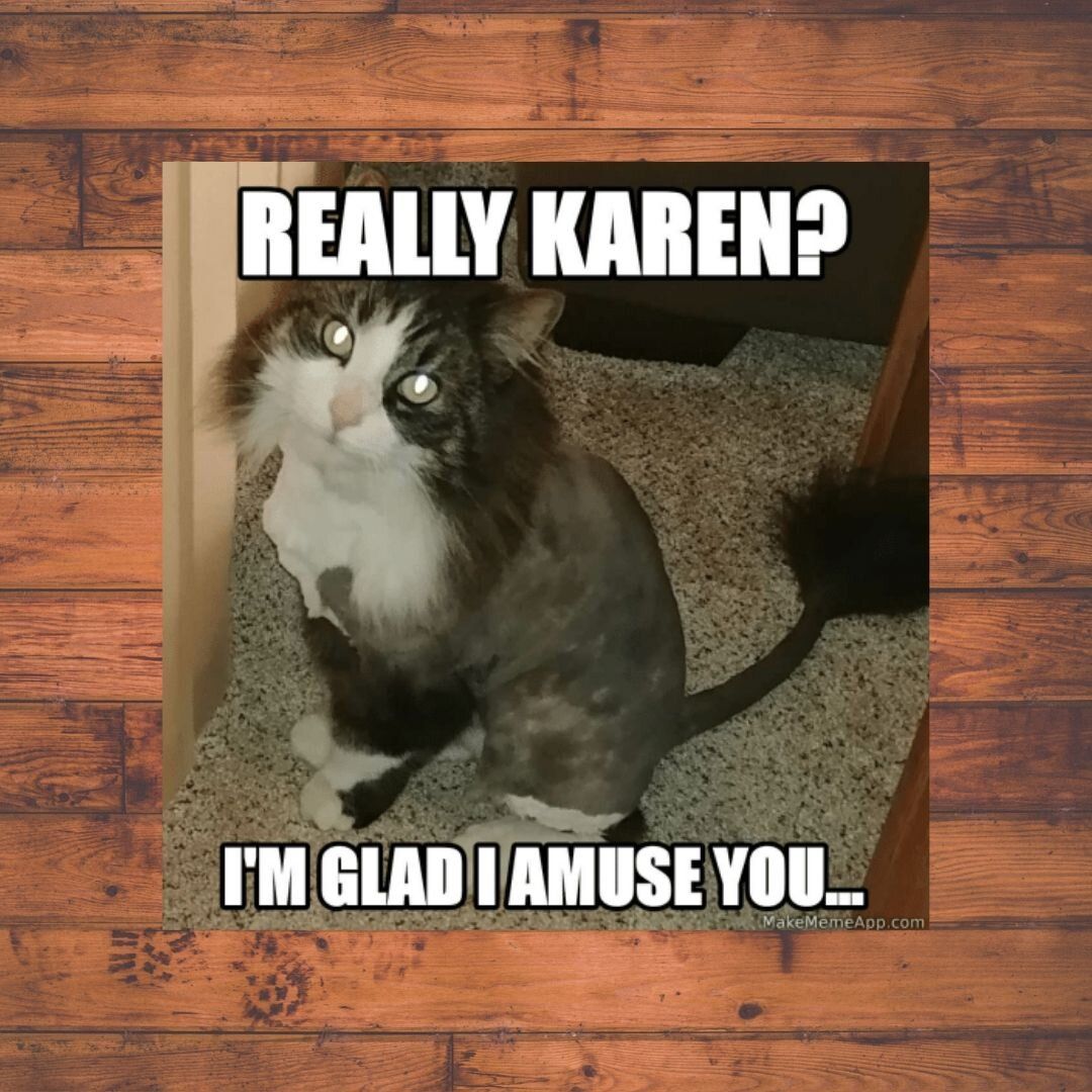 Really Karen.jpg